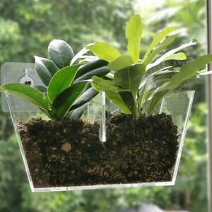 Boîtes <span class=keywords><strong>de</strong></span> plantation en acrylique avec ventouse, support créatif <span class=keywords><strong>pour</strong></span> Pot <span class=keywords><strong>de</strong></span> fleurs, plateau <span class=keywords><strong>de</strong></span> plante, grand cadeau décoratif <span class=keywords><strong>pour</strong></span> l'extérieur et l'intérieur - Product Image 6