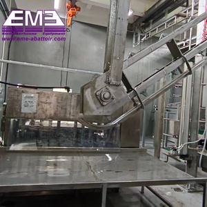 Machine à abattre les poulets, machine à plumer les poulets automatique pour l'équipement de <span class=keywords><strong>boucherie</strong></span> avicole - Product Image 6