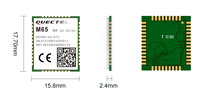 Module GPS Qualcomm M65 Quad-band LCC compatible puce-à-puce avec M66 et M66 R2.0