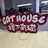 Lettres décoratives murales personnalisées 3D cristal gelée acrylique néon LED pour la maison, le bureau, les entreprises, les magasins, les centres commerciaux, les parcs et les voitures.
