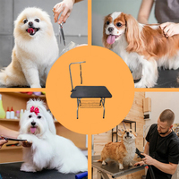 Table de toilettage pour animaux de compagnie en plaque et tube de fer, pliable, hauteur réglable, pour la coupe de poils de chien, le séchage par soufflage et l'utilisation à domicile