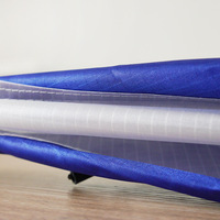 Cerf-volant Delta Personnalisé pour Enfants et Adultes, Cadre en Fibre de Verre Écologique, Bleu et Blanc, Double Ligne, Sport de Vol acrobatique
