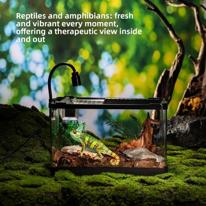 Terrario de Plástico para Reptiles, Totalmente Cerrado, Transparente, con Calefacción para Invierno, Marcos Superior e Inferior Extraíbles, Cierre con Abrazaderas para Lagartos - Product Image 3