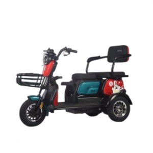 Triciclo Eléctrico Familiar Más Barato de China, 600W 48V, Trimoto Eléctrica, Scooter Eléctrico de 3 Ruedas para Adultos con Cesta - Product Image 3