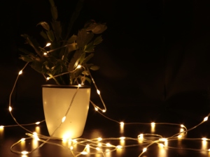 Guirlande lumineuse LED étanche IP65 en cuir, 24V, à brancher, pour jardin, extérieur, décorative - Product Image 4