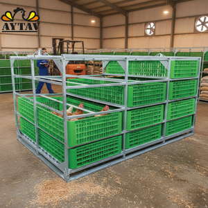 Jaula de Alta Rigidez para Aves de Corral H25 de 12 Cajones, Material de PE Galvanizado, Rango de Temperatura de -20 °C a +80 °C, 1 Año de Garantía, Nueva, AYTAV All - Product Image 3