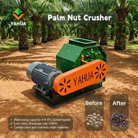 Machine de production continue de noyaux de palme à 95 % d'efficacité (4-8 T/H) pour les petites et moyennes usines d'huile de palme en Afrique