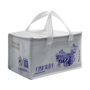 Custom Logo Promotional Reusable Thermal Insulation Bag Wholesale <b>Small</b> 6 Can Non Woven Insulated <b>Lunch</b> Cooler Bag for Food - Product Image 4