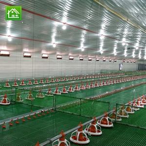 Nuevo estilo, estructura <span class=keywords><strong>de</strong></span> acero, gallinero, gallinas ponedoras, gallinero, casa para <span class=keywords><strong>mascotas</strong></span> para 30.000 pollos - Product Image 5
