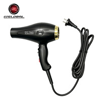 Sèche-cheveux professionnel haute puissance pour salon de coiffure avec cordon d'alimentation allongé, vent froid et chaud, température constante, soin des cheveux, coiffage à domicile