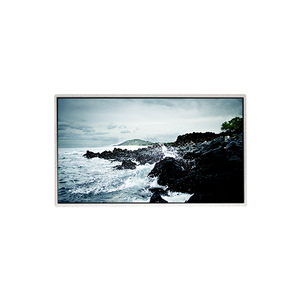 Écran LCD HF236WHB-F20 à prix d'usine, fabricant d'écrans 23,6 pouces 1366RGB*768 WXGA 66PPI CELL FOB pour téléviseurs - Product Image 1