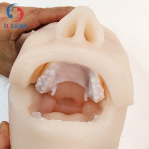 Modèle d'examen et de formation <span class=keywords><strong>ERCP</strong></span> de haute Simulation - Product Image 3