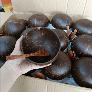 Cuencos de madera de coco de alta calidad hechos a medida, comidas veganas orgánicas desechables ecológicas, Vida Saludable, directo de Vietnam - Product Image 6