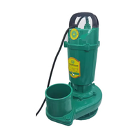 Pompe à eau portable 4 pouces 48V à grand débit pour l'irrigation agricole, pompe à eau solaire submersible DC à grand débit