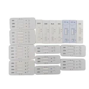 Kit de détection d'antigène FHV vétérinaire de haute précision bandelettes de <span class=keywords><strong>test</strong></span> pour herpèsvirus pour le diagnostic des animaux de compagnie - Product Image 2