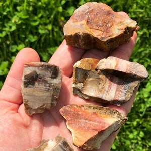 Vente en gros de bois pétrifié naturel brut, pierre fossile, cristal brut pour la décoration intérieure et la lithothérapie - Product Image 2