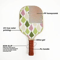 Raquettes de pickleball en fibre de verre, ensemble de 2 raquettes et 4 balles de pickleball, sac portable pour débutants, sports d'intérieur et d'extérieur