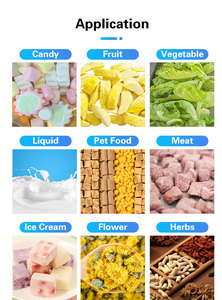 OEM 6-20kg meilleure qualité Chine fabricant utiliser lyophilisateur machine de séchage des aliments pour la maison prix - Product Image 4