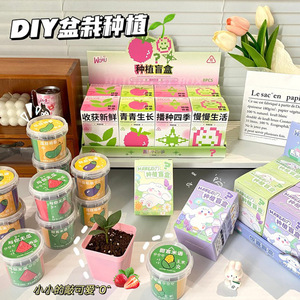 Creative potted plant blind box, student desktop <b>mini</b> green plant, small potted plant, <b>desk</b> decoration item, children's gift - Product Image 1