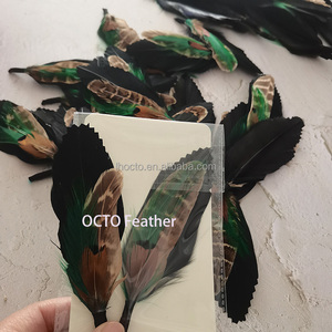 Plumas Decorativas para Sombreros <span class=keywords><strong>de</strong></span> Hombre, Diseño Personalizado, Varios Tamaños <span class=keywords><strong>de</strong></span> 3-5 Pulgadas, Gran <span class=keywords><strong>Venta</strong></span> - Product Image 5