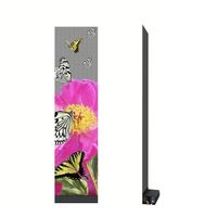 Écran LED transparent holographique ultra-fin P3.91 6.25 pour intérieur, film flexible pour centres commerciaux et ascenseurs avec SDK