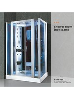Cabine de douche coulissante tout-en-un de luxe avec hammam, cloison de séparation sec-humide rectangulaire en verre pour massage, idéale pour la maison et l'hôtel