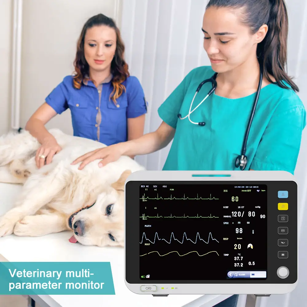 12.1 Inci Multibahasa Portabel Pet Veteriner Multi-Parameter Kesehatan Ecg Monitor Tanda-tanda Vital dengan Fungsi Nibp Etco2