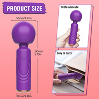 Starker Stoß-Vibrator mit Großem Kopf, Rotierender Vibrations-Masturbator für Frauen, Kleiner Massagestab mit 10 Vibrationsmodi, Handgehalten, USB