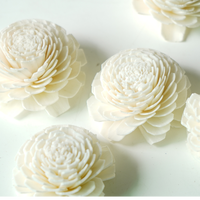 Fleur en bois de Sola personnalisée pour diffuseur d'huile de parfum Absorption rapide Fleurs d'herbe essentielles Accessoires de parfum Meilleure décoration de la maison