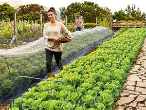 Les cerceaux de serre en plastique antirouille élèvent le <span class=keywords><strong>tunnel</strong></span> avec 24 pièces des pinces Diy Garden Hoop Support Frame Stakes for Raised Garden Beds - Product Image 6