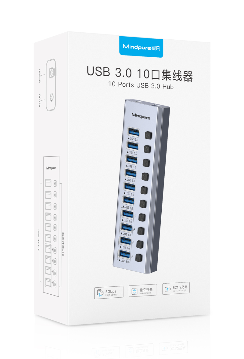 10 Puertos Gris 12V4A