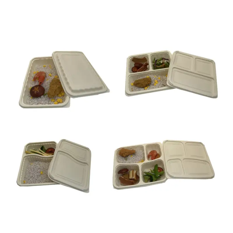 OEM/ODM Compartment Take Away Corn Starch Container Fast Meal Tray Biodegradable Take Away Lunch Boxes