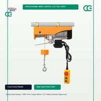 Treuil électrique micro-câble Fuhua certifié CE, capacité de 100 kg à 1000 kg, mini-treuil électrique de qualité industrielle avec commande par télécommande filaire. .