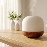 Diffuseur d'arômes ultrasonique 250 ml en gros, machine diffuseur de parfum, diffuseur d'huiles essentielles en bois