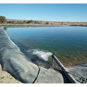 Bassin de lagune à boues de grande envergure avec revêtement imperméable en géomembrane HDPE et géotextile noir, Nouveau style 2026 - Product Image 4
