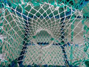 Pot de homard de Crew Creel de homard robuste avec maille PE solide - Product Image 6