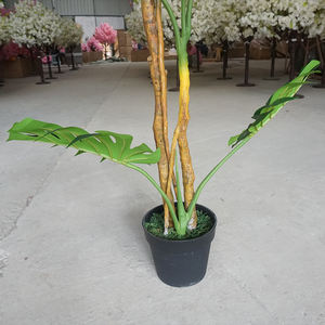 Vente en gros de feuilles artificielles de Monstera <span class=keywords><strong>Albo</strong></span> Deliciosa, bonsaï écologique et durable, décoration intérieure pour la maison, en pot en plastique - Product Image 6