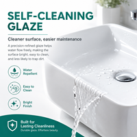 Vasque à poser en céramique durable et étanche, design moderne, cuvette ovale pour lavage des mains, pour comptoir de salle de bain