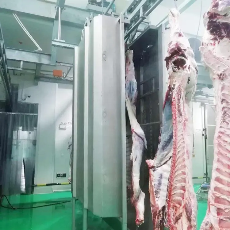 آلة تنظيف الذبيحة الأوتوماتيكية لمحطة تجهيز لحم البقر ، مسلخ الماشية