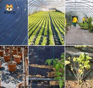 แผ่นคลุมดินป้องกันวัชพืชสำหรับการเกษตร ผลิตจากพลาสติก PP  แผ่นคลุมดินและวัสดุป้องกันวัชพืช  แผ่นคลุมดินแบบไม่ทอสำหรับการเกษตร - Product Image 6