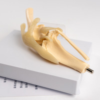 Science médicale PVC modèle anatomique animal PVC chien articulation du genou modèle canin