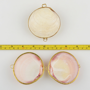 Hộp Vỏ Sò Bán Chạy Hộp Đựng Trang Sức Nữ Thiết Kế Mới Vỏ Hộp Đựng Vỏ Sò Tự Nhiên - Product Image 4