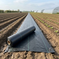 Toile tissée en polypropylène anti-mauvaises herbes, couverture de sol agricole durable, tissu barrière anti-herbe