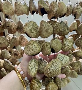 Panji Seeds Chimes, Wind Chimes de Pangi Seeds para Mediación, Yoga, Sanación con Sonido, etc. - Product Image 5