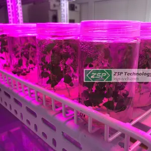 Fabriek Koop Plant Strip Bar Voor Orchideeën Tissue Cultuur Zaailingen