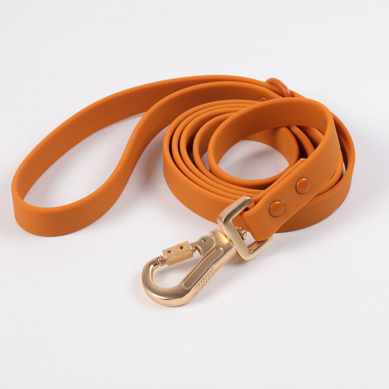 Brown leash