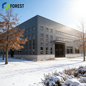 Structure de grillage à longue portée en acier préfabriqué sécurisé pour arène équestre, services de soudage, robuste pour les applications d'atelier en acier - Product Image 1