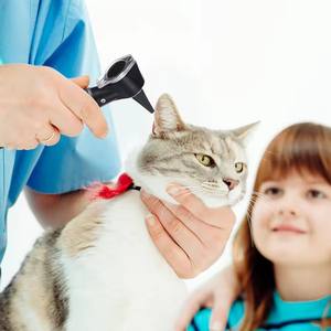 Kit de otoscopio de estetoscopio portátil médico ENT de oído profesional para estudiantes de medicina - Product Image 2