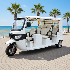 Tricycle électrique homologué pour la route, conforme aux normes CEE pour le marché européen - 100% électrique, 3 roues, taxi-tricycle avec 6 passagers et plus de 1000W de puissance - Product Image 1