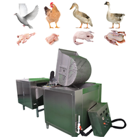 Machine d'abattage de volailles à petite échelle en promotion avec pompe et moteur, haute productivité 200 poulets/heure, 380V/220V
